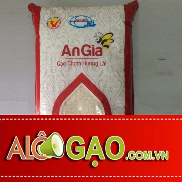 ALOGAO-HUONG-LAI-copy