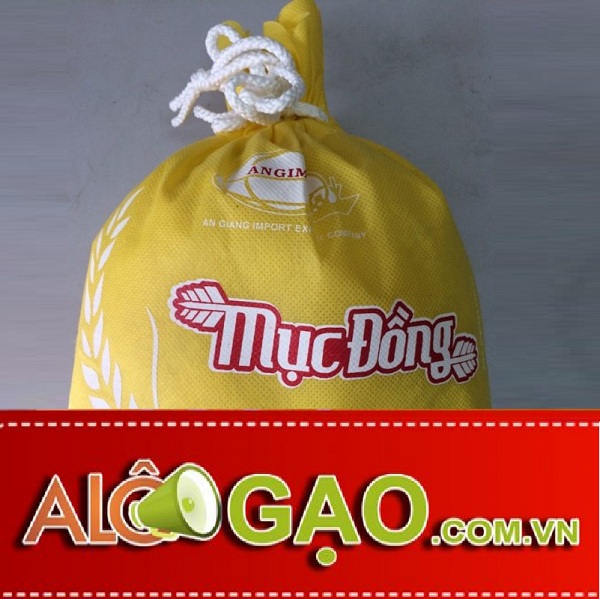 ALOGAO-MUCDONG-copy