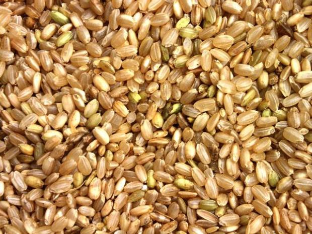 gạo nguyên cám là gì