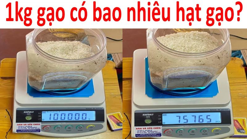 1kg gạo có bao nhiêu hạt?